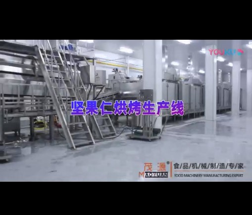 堅(jiān)果仁烘烤生產(chǎn)線(xiàn)（山西現(xiàn)場(chǎng)）